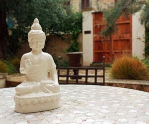 jardín retiro en MAllorca